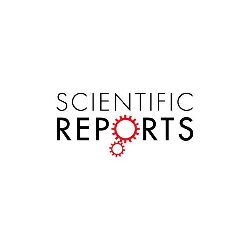 Epidemiology of road traffic accident-related head injuries: a multicenter retrospective cohort study