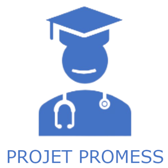 Offre de stage sur le projet PROMESS 2024